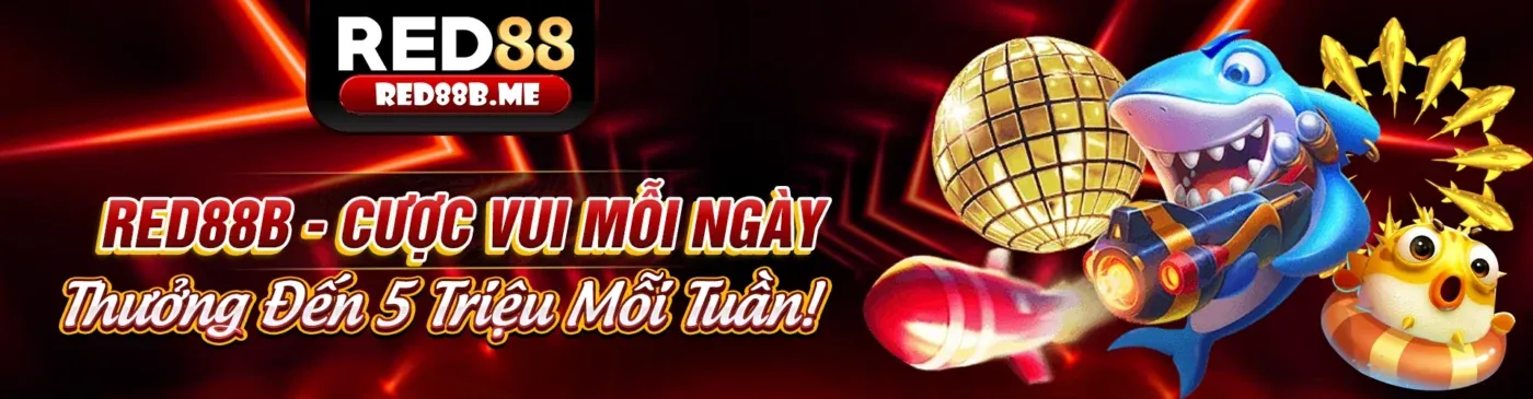 Tài liệu pháp lý và quy định của b99 app