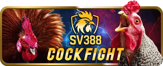 Ưu Đãi Casino b99 app